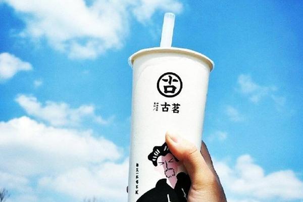鲸鱼体育官网
